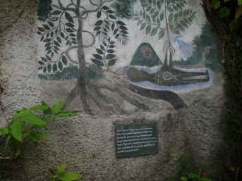 The origin of Ayahuasca