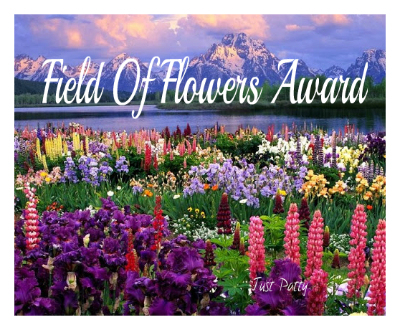 field of flowers award